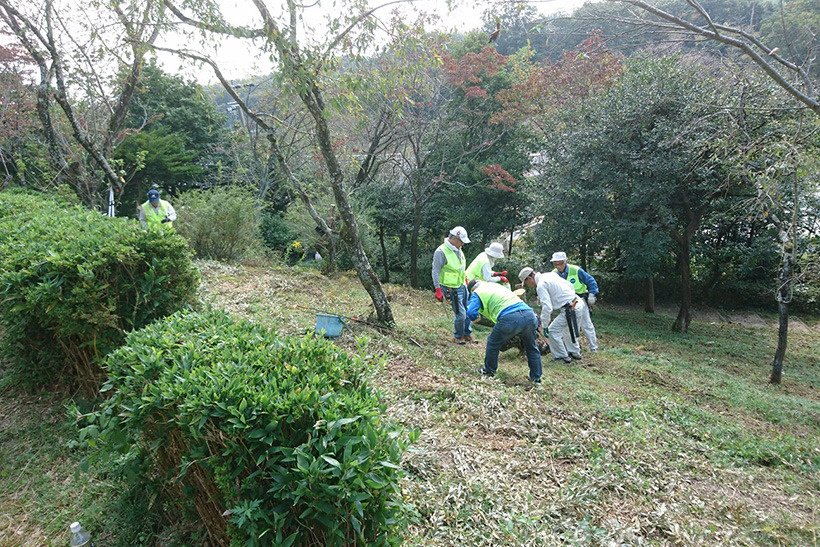 さくら守りボランティア