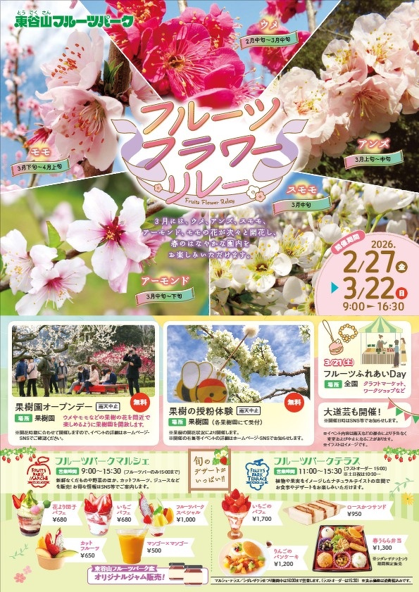 シダレザクラまつりチラシ（ウラ）