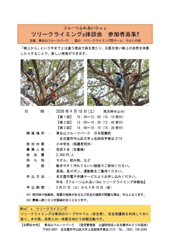 ツリークライミング体験会